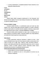 Diplomdarbs 'Grāmatvedības dokumentu klasifikācija un organizācija uzņēmumā SIA ”X”', 15.