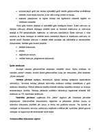 Diplomdarbs 'Grāmatvedības dokumentu klasifikācija un organizācija uzņēmumā SIA ”X”', 16.