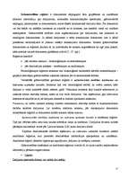 Diplomdarbs 'Grāmatvedības dokumentu klasifikācija un organizācija uzņēmumā SIA ”X”', 17.