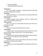 Diplomdarbs 'Grāmatvedības dokumentu klasifikācija un organizācija uzņēmumā SIA ”X”', 18.