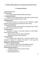 Diplomdarbs 'Grāmatvedības dokumentu klasifikācija un organizācija uzņēmumā SIA ”X”', 24.