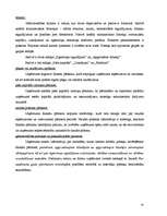 Diplomdarbs 'Grāmatvedības dokumentu klasifikācija un organizācija uzņēmumā SIA ”X”', 41.