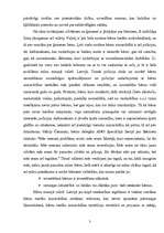 Referāts 'Bērnu tiesības', 3.