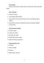 Referāts 'Bērnu tiesības', 5.