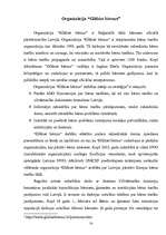 Referāts 'Bērnu tiesības', 14.