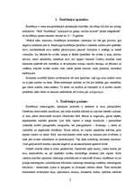 Konspekts 'Šizofrēnija', 3.