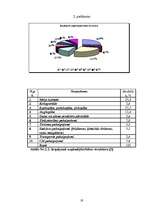 Referāts 'Uzņēmējdarbības vides novērtējums', 19.