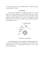 Referāts 'Pozitronu emisijas tomogrāfs', 7.