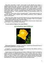 Referāts 'Цветы красной книги', 3.