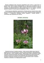 Referāts 'Цветы красной книги', 4.