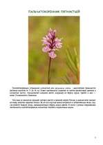 Referāts 'Цветы красной книги', 7.