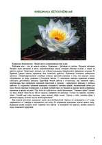 Referāts 'Цветы красной книги', 8.