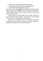 Referāts 'Sociālo pakalpojumu pieejamība un uzlabošanas iespējas Gulbenes veco ļaužu dzīvo', 5.