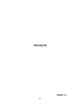 Referāts 'Sociālo pakalpojumu pieejamība un uzlabošanas iespējas Gulbenes veco ļaužu dzīvo', 30.