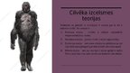 Prezentācija 'Cilvēka izcelsmes teorijas', 3.