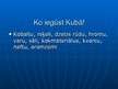 Prezentācija 'Kuba', 16.