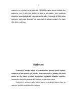 Referāts 'Jauna uzņēmuma organizēšanas koncepcija', 2.