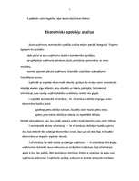 Referāts 'Jauna uzņēmuma organizēšanas koncepcija', 5.