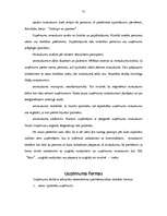 Referāts 'Jauna uzņēmuma organizēšanas koncepcija', 12.