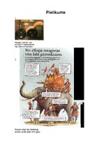 Referāts 'Dzīvnieki un karš', 28.