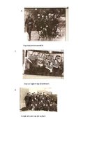 Referāts 'Dzīvnieki un karš', 30.