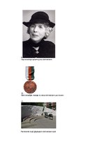 Referāts 'Dzīvnieki un karš', 31.