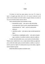 Referāts 'Rentabilitātes analīze', 3.