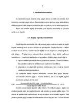 Referāts 'Rentabilitātes analīze', 5.