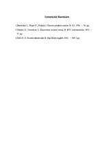 Referāts 'Rentabilitātes analīze', 13.