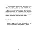 Konspekts 'Jelgavas Zinātniskās bibliotēkas vēsture', 5.