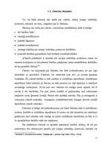 Referāts 'Uzrādīšana atpazīšanai', 22.