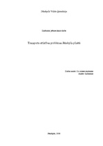 Referāts 'Transporta attīstības problēmas Jēkabpils pilsētā', 1.