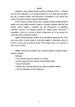 Referāts 'Transporta attīstības problēmas Jēkabpils pilsētā', 3.