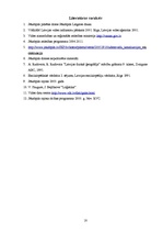 Referāts 'Transporta attīstības problēmas Jēkabpils pilsētā', 18.