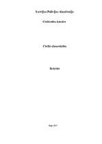 Referāts 'Civilā aizsardzība', 1.