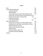 Referāts 'Psihosociālā attīstība vecumposmā no 12 līdz 18 gadiem', 2.