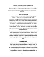 Referāts 'Psihosociālā attīstība vecumposmā no 12 līdz 18 gadiem', 4.