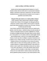 Referāts 'Psihosociālā attīstība vecumposmā no 12 līdz 18 gadiem', 7.