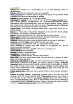 Konspekts 'Nodokļu sistēma', 1.