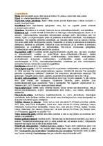 Konspekts 'Nodokļu sistēma', 2.