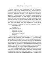 Referāts 'Budžeta ienākumu un izdevumu klasifikācija', 5.