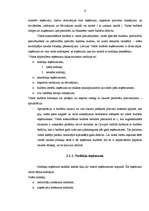 Referāts 'Budžeta ienākumu un izdevumu klasifikācija', 8.