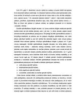 Referāts 'Budžeta ienākumu un izdevumu klasifikācija', 10.