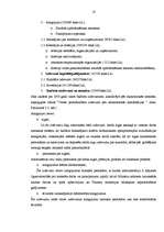 Referāts 'Budžeta ienākumu un izdevumu klasifikācija', 17.