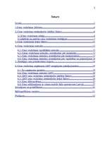 Referāts 'Cenu veidošana LMT pakalpojumiem', 2.