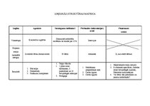 Paraugs 'Bērnu dienas centra izveide', 9.