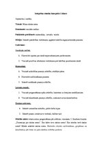 Konspekts 'Mana skolas soma', 1.