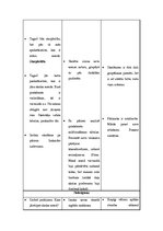 Konspekts 'Mana skolas soma', 4.