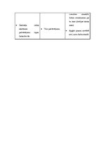 Konspekts 'Mana skolas soma', 5.