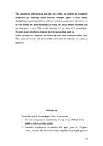 Referāts 'Darbaspēka ārējās migrācijas raksturojums', 13.